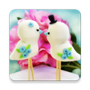 صور وحالات واتس اب بدون انترنت APK