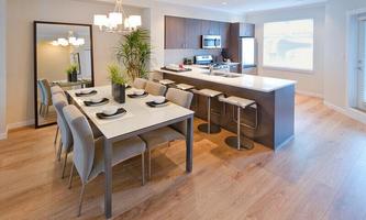Dining Room Design screenshot 1