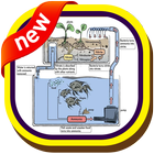 Aquaponics Gardening System icon