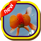 Bubble Eye Goldfish Wallpapers icône