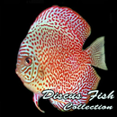 Discus Fish Collection APK