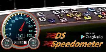 DS Speedometer & Odometer