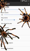 Spider on screen prank-poster