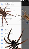 Spider on screen prank 截图 1