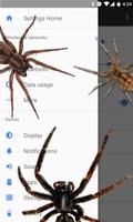 1 Schermata Spider on screen prank