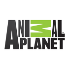 Animal Planet आइकन