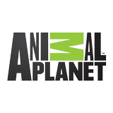 Animal Planet APK