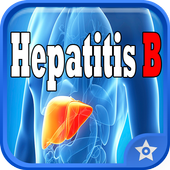 Hepatitis B Disease icon