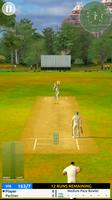 Cricket Megastar imagem de tela 1
