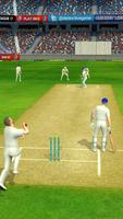 Cricket Megastar imagem de tela 2