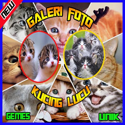 Rumah Kucing Download Gambar Kucing Lucu Galau