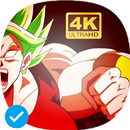 Dragon DBS Wallpaper HD APK