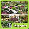 Ide desain taman Jepang