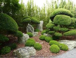 1 Schermata Japanese Garden Design Ideas