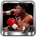 Dirty Fight Box 3D APK