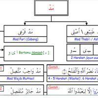 Belajar Tajwid Al-Quran imagem de tela 2