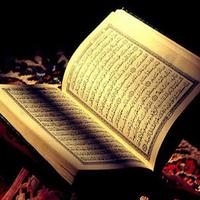 Al Quran Al Kariem ảnh chụp màn hình 1