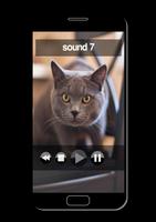 Mécontenter votre chat capture d'écran 3