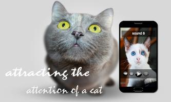 Mécontenter votre chat Affiche