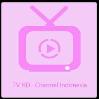 TV offline: HD Indonesia full channel live pranks الملصق