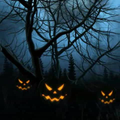 Halloween LiveWallpaper