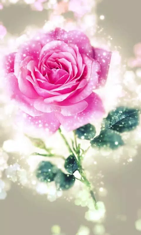 Happy rose day live wallpaper APK for Android Download