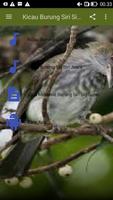 برنامه‌نما Kicau Burung Siri Siri Super عکس از صفحه