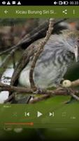 برنامه‌نما Kicau Burung Siri Siri Super عکس از صفحه