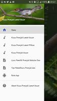 Kicau Prenjak Lumut Gacor captura de pantalla 1