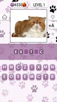 3 Schermata Pet 101 : Guess The Cat Breeds