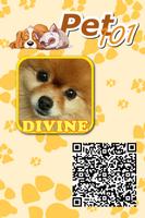 Pet 101 : Dogs Quiz 海報