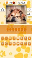 Pet 101 : Dogs Quiz تصوير الشاشة 2