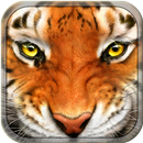 Tiger Simulator 3D Wildlife APK