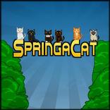 SpringaCat
