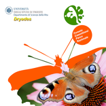 Farfalle Foreste Casentinesi