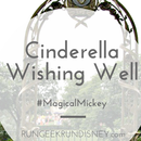 Make a wish with wishing well aplikacja