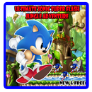 Ultimate Sonic Super Flash Jungle Adventure APK
