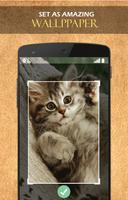 Cute kitty wallpaper ảnh chụp màn hình 3