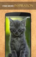 Cute kitty wallpaper تصوير الشاشة 1
