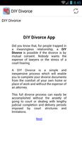 DIY Divorce 海報