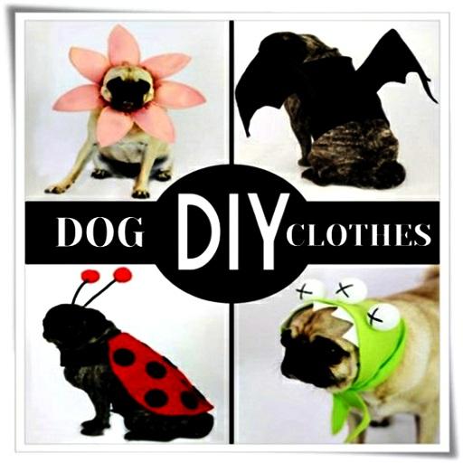 DIY cão roupas idéias