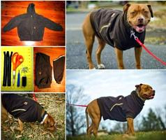 DIY pakaian anjing syot layar 3