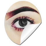 DIY Eyebrows Makeup simgesi