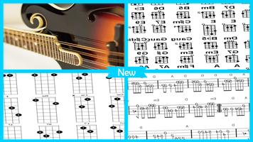 Beginner Mandolin Lesson bài đăng
