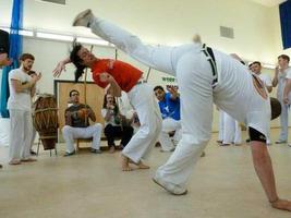 Capoeira Tutorials capture d'écran 3