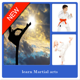 Learn Martial Arts icône