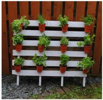 DIY Garden Project Ideas capture d'écran 3