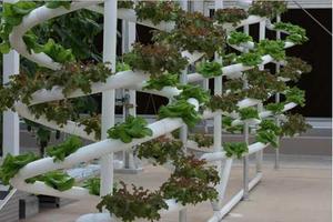 diy hydroponics system পোস্টার