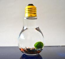 DIY Light Bulb Aquarium Ekran Görüntüsü 2