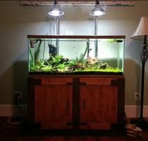 DIY Light Bulb Aquarium Ekran Görüntüsü 3